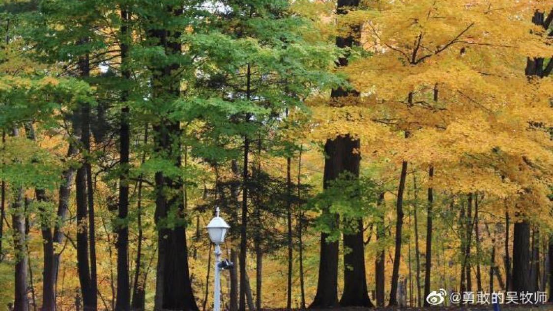 在线抖音双击网站：抖音双击互动新趋势引关注_易心网ks赞自助下单